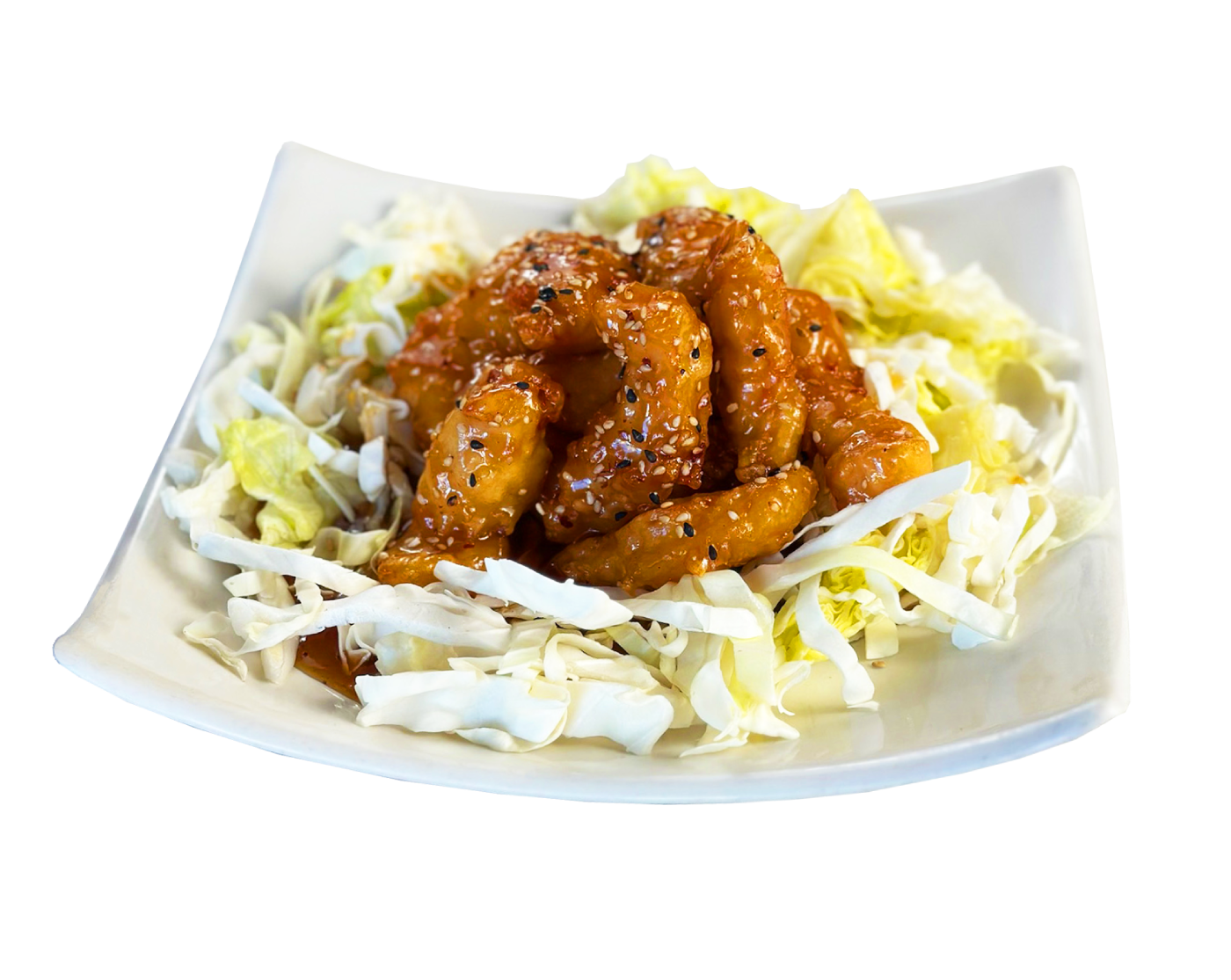 Sesame chicken on a plate